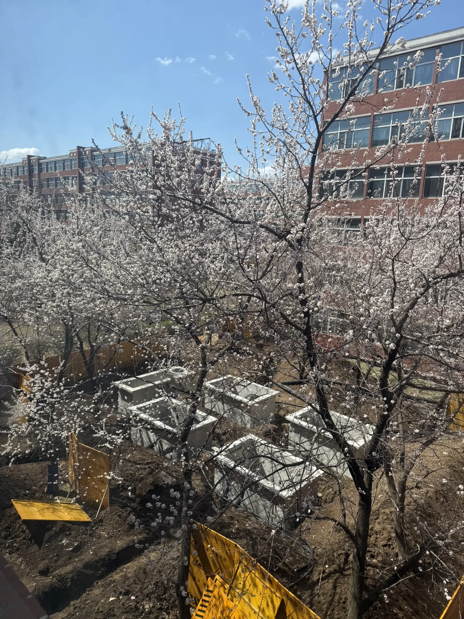 841F1E8C-01C0-43D8-B54E-F59718D86AD1_1_102_o.jpeg