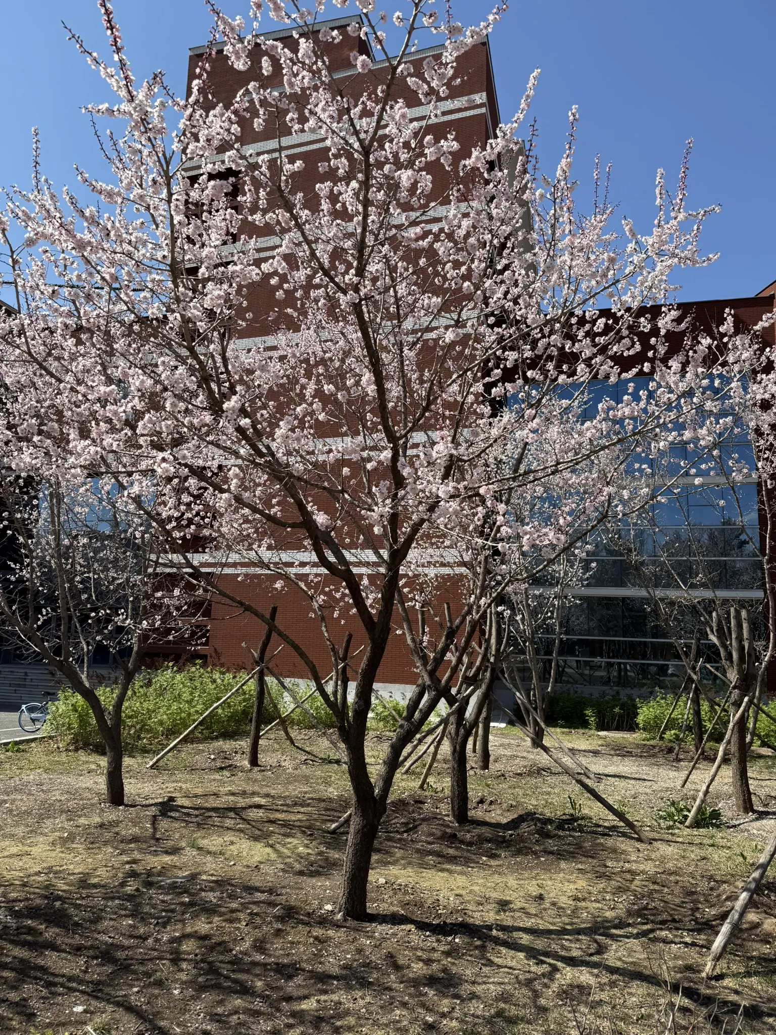 9A0E7591-E881-4126-B7E2-09923E661F94_1_102_o.jpeg